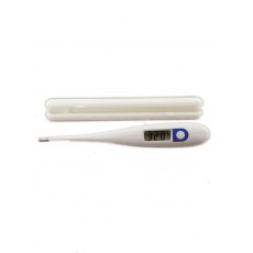 Thermometer Digital