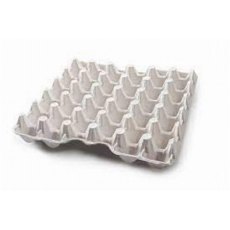 Egg Tray Single