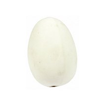 Nest China Egg