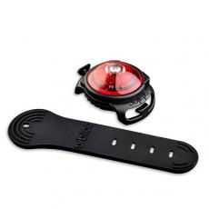 Dog Safety Light