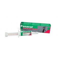 Panacur Equine Oral Paste 24g