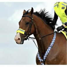 Equisafety Polite Horse Wear Neck Band
