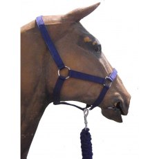 Roma Headcollar & Leadrope Navy Full