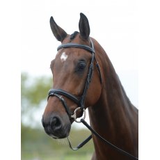 Kincade Flash Bridle Black