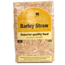 Pillow Wad Mini-Bale Barley Straw Large 2kg
