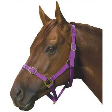 Roma Nylon Mini Headcollar