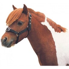 Roma Nylon Mini Headcollar