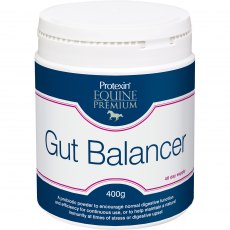 Protexin Gut Balancer 400g