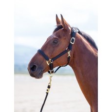 Shires Topaz Nylon Headcollar Black