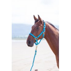 Shires Topaz Nylon Headcollar Blue