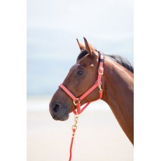 Shires Topaz Nylon Headcollar Red