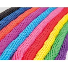 Shires Topaz Leadrope