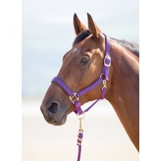 Shires Topaz Nylon Headcollar Purple