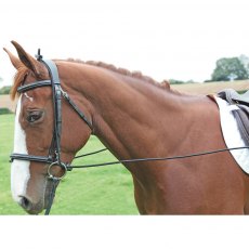 Shires Elastic Training Aid