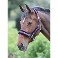 Shires Polo Browband Red/Navy