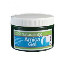 Naturalintx Arnica Gel 400g