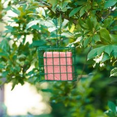 Harrison's Suet Block With Berries 300g