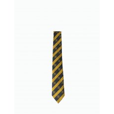 QE School Tie