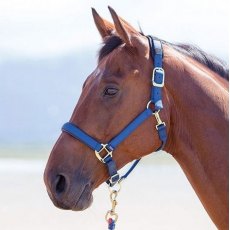 Shires Topaz Nylon Headcollar Navy