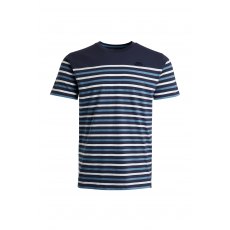 Weird Fish Lugano Organic Coastal Stripe Tee Navy