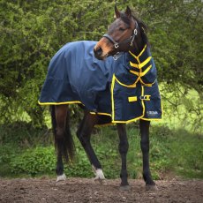 Gallop Trojan 200 Combo Turnout Rug Navy & Yellow
