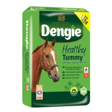 HEALTHY TUMMY 20KG DENGIE