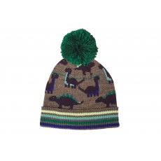 Dinosaur Bobble Hat