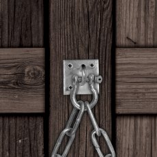 Staple On Plate Galvanised 2 Pack