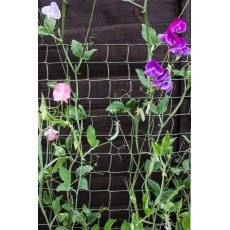 Climbing Plant Support Mesh Green 5m