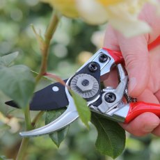 Darlac Small Bypass Pruner