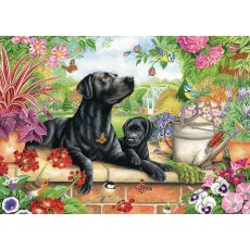 1000 Piece Jigsaw Black Labrador