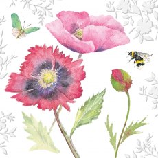 Beautiful Blooms Card Poppies