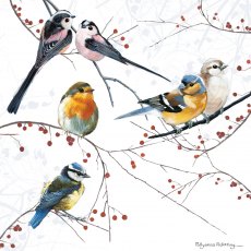 Countryside Card Mixed Birds