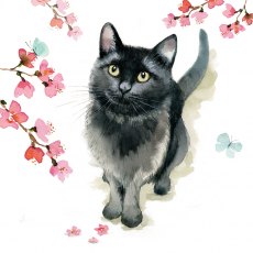 Countryside Card Black Cat & Blossom