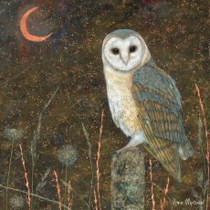 Enchanted Wildlife Card Barn Owl