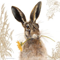 Countryside Card Hare & Sunflower