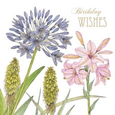 Birthday Card Agapanthus & Lily