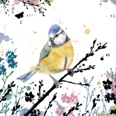 Field & Forest Card Blue Tit