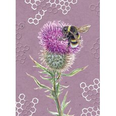 In The Wild Card Bee & Thistle