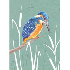 In The Wild Card Kingfisher