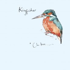 Dawn Chorus Card Kingfisher