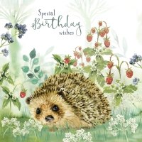 Birthday Card Hedgehog