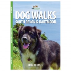 South Devon & Dartmoor Dog Walks