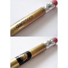 Gold Dartmoor Pencil