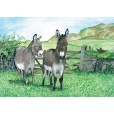 Two Donkeys Greetings Card
