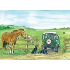 Mare & Foal Greetings Card