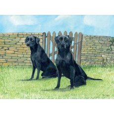 Black Labradors Greetings Card