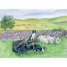 Quad Bike Greetings Card