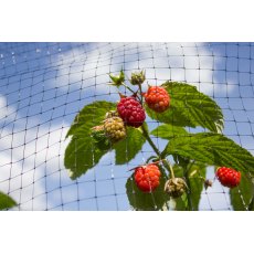 Fruit Cage Netting 2m