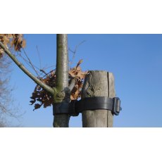 TREE TIE 18"X1" BUCKLE